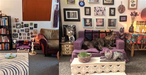 tatiana givenchy|PHOTOS: These Spoiled Cats Have Their Own Living Room .